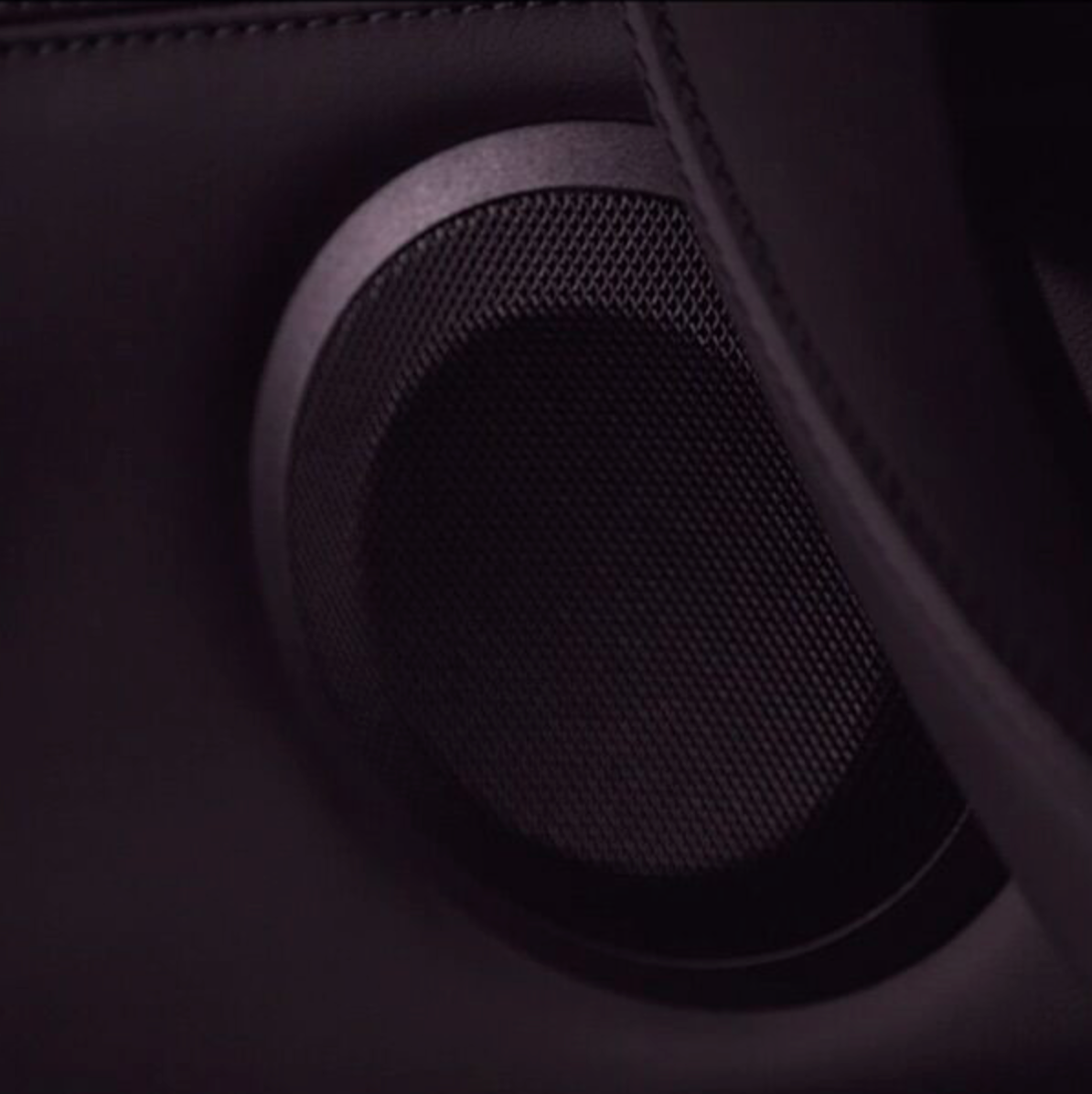 Interior image of a car speaker