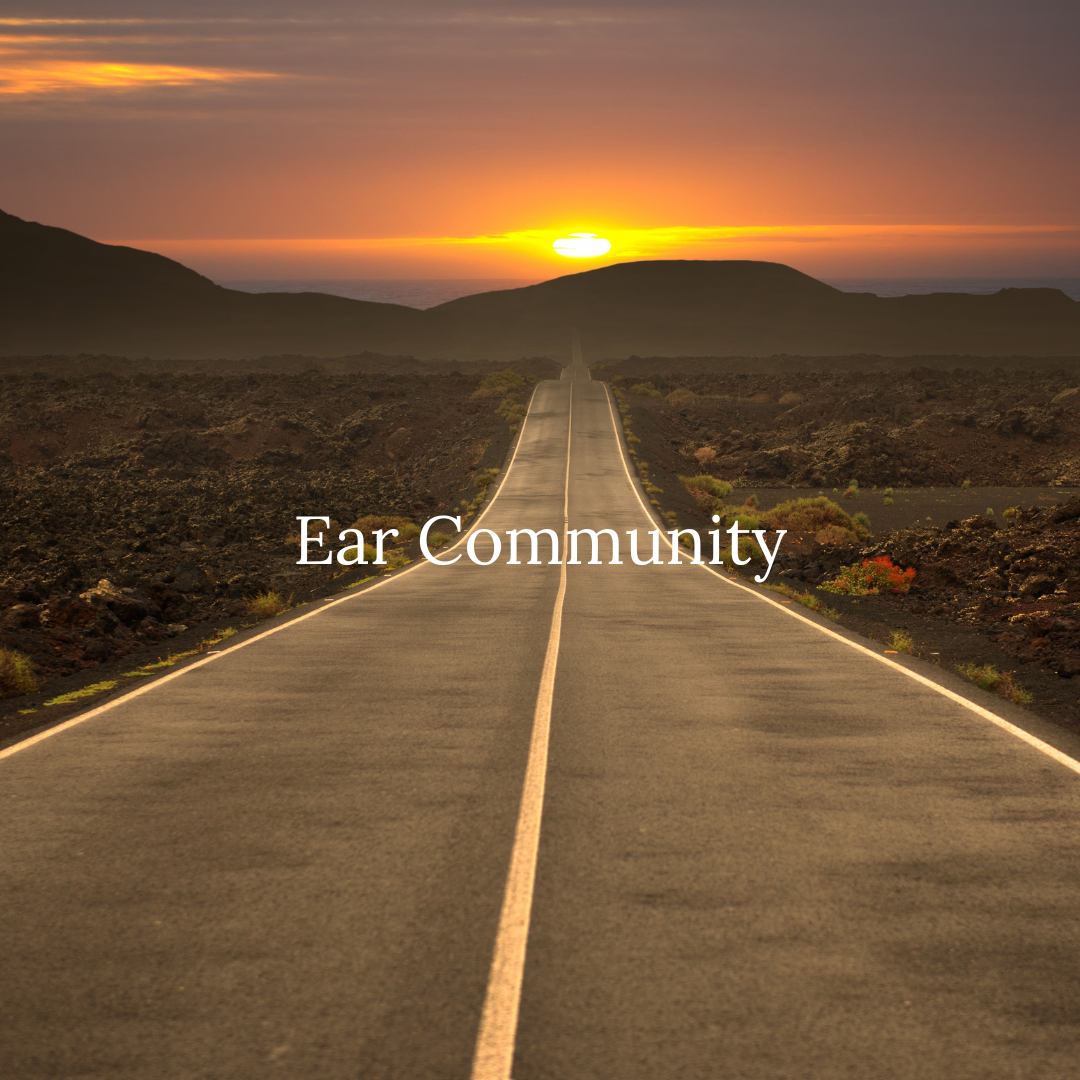 Image of a long stretch of desert road at sunset with the text "Ear Community" in the center